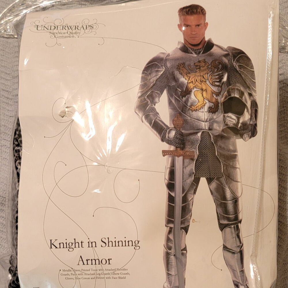 Knight costume